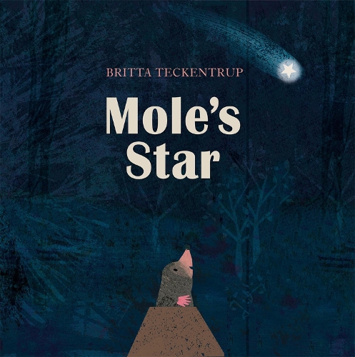 Паперова книга «Mole's Star», автор Britta Teckentrup - фото №1