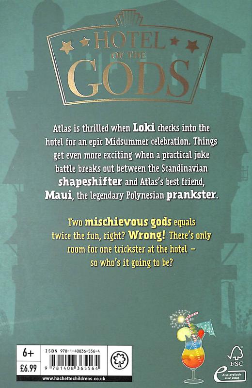 Паперова книга «Vikings on vacation», автор Том Істон - фото №1