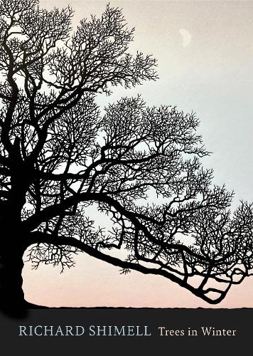 Паперова книга «Trees in Winter: Fully illustrated edition», автор Річард Шімелл - фото №1