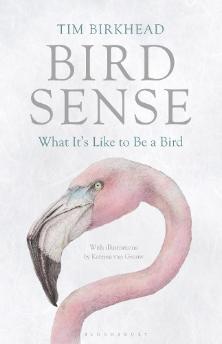 Паперова книга «Bird Sense: What It's Like to Be a Bird», автор Тім Біркхед - фото №1