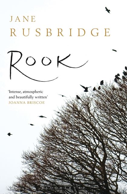Бумажная книга «Rook» - фото №1
