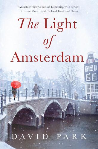 Бумажная книга «The Light of Amsterdam», автор Дэвид Парк - фото №1