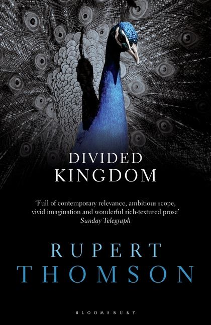 Паперова книга «Divided Kingdom» - фото №1