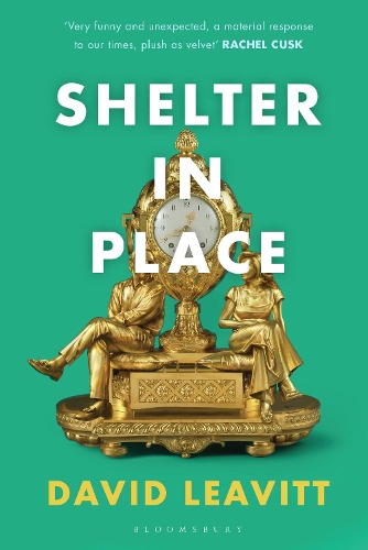 Паперова книга «Shelter in Place», автор Девід Лівітт - фото №1