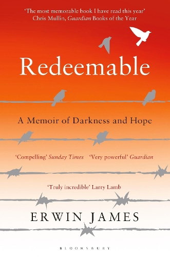 Паперова книга «Redeemable: A Memoir of Darkness and Hope», автор Ервін Джеймс - фото №1
