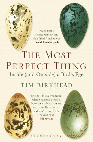 Паперова книга «The Most Perfect Thing: Inside (and Outside) a Bird’s Egg», автор Тім Біркхед - фото №1
