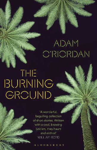 Бумажная книга «The Burning Ground», автор Адам О’риордан - фото №1