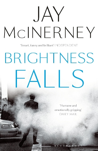 Бумажная книга «Brightness Falls», автор Джей Макинерни - фото №1