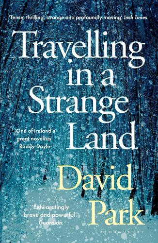 Бумажная книга «Travelling in a Strange Land: Winner of the Kerry Group Irish Novel of the Year», автор Дэвид Парк - фото №1