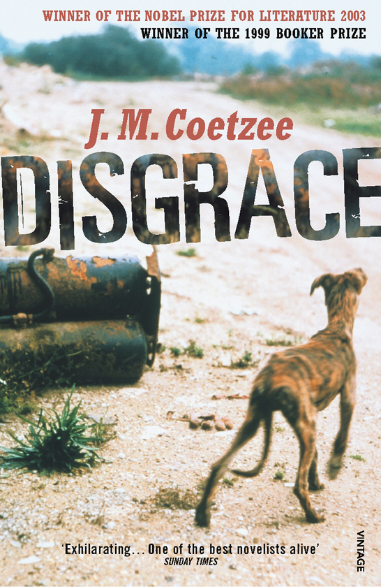 Бумажная книга «Disgrace», автор Джон Максвелл Кутзее - фото №1