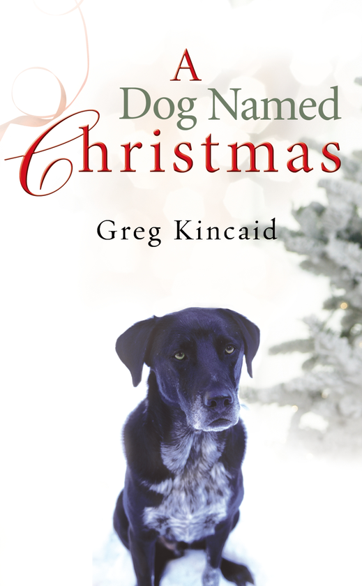 Бумажная книга «A Dog Named Christmas», автор Грег Кинкейд - фото №1