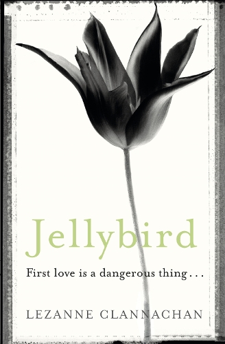 Бумажная книга «Jellybird: A chilling novel of childhood secrets, first love - and murder…», автор Лезанна Кланнахан - фото №1