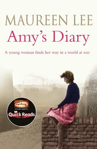 Паперова книга «Amy's Diary», автор Морін Лі - фото №1