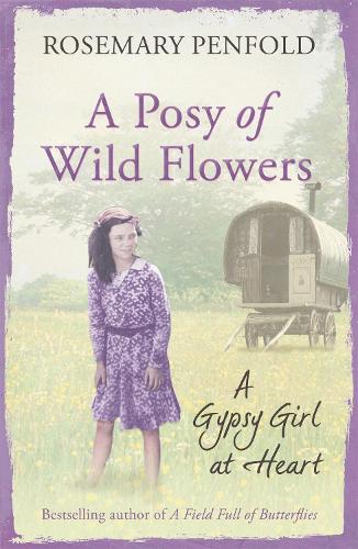 Паперова книга «A Posy of Wild Flowers: A Gypsy Girl at Heart», автор Розмарі Пенфолд - фото №1