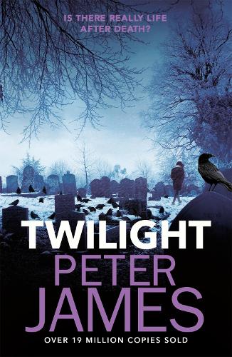 Бумажная книга «Twilight», автор Питер Джеймс - фото №1