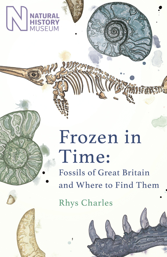 Бумажная книга «Frozen in Time. Fossils of Great Britain and Where to Find Them», автор Рис Чарльз - фото №1