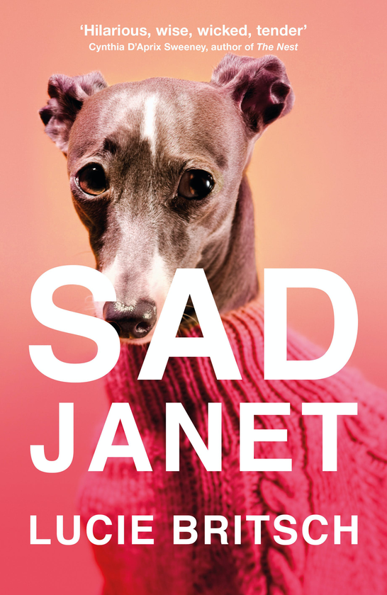 Паперова книга «Sad Janet. A whip-smart, hilarious satire of our obsession with happiness», автор Люсі Бріч - фото №1