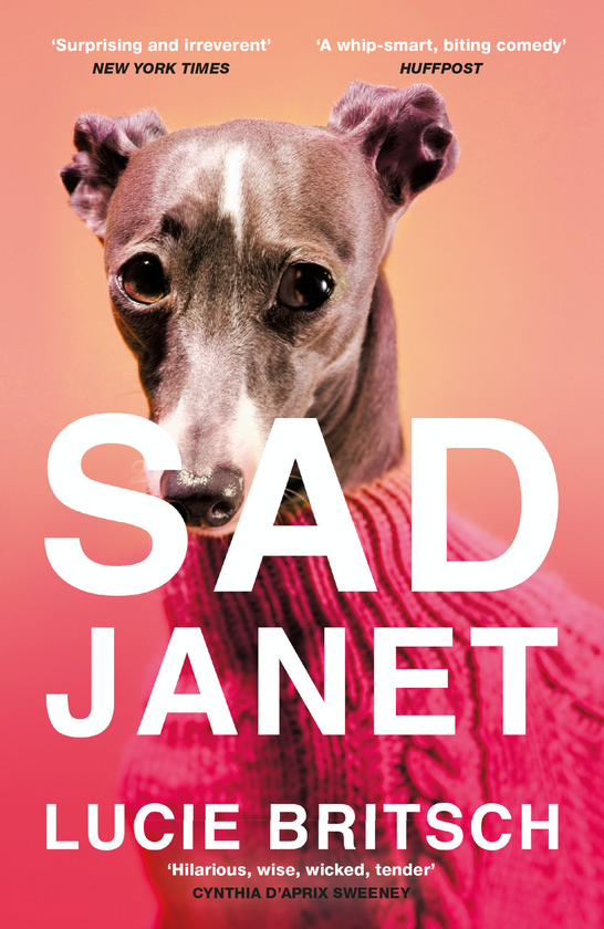 Бумажная книга «Sad Janet», автор Люси Брич - фото №1