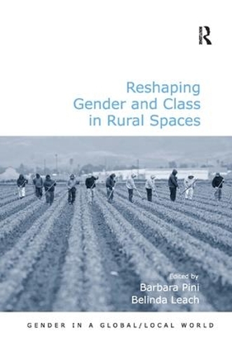 Паперова книга «Reshaping Gender and Class in Rural Spaces», автор Белінда Ліч - фото №1