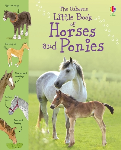 Бумажная книга «Little Book of Horses and Ponies», автор Сара Хан - фото №1