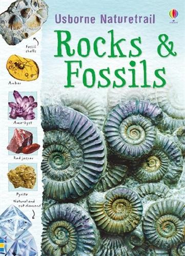 [object Object] «Rocks and Fossils», автор Струан Рейд - фото №1