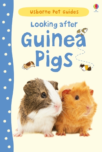 Бумажная книга «Looking after Guinea Pigs», автор Лора Хауэлл - фото №1