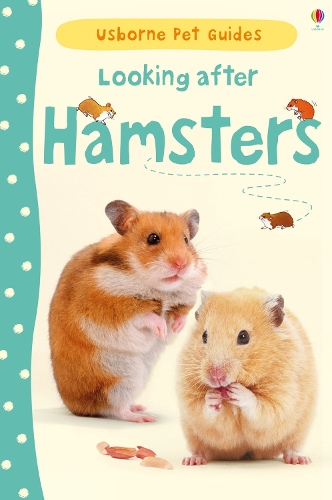 Паперова книга «Looking after Hamsters», автор Сюзан Мередіт - фото №1