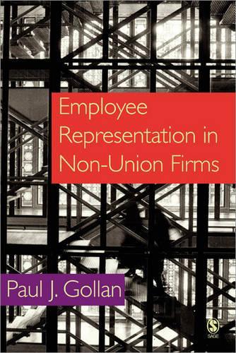Бумажная книга «Employee Representation in Non-Union Firms», автор Пол Голан - фото №1