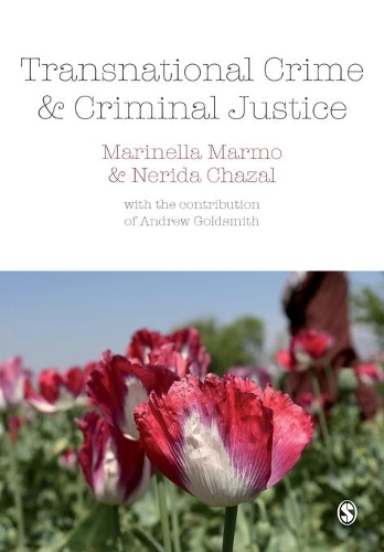 Бумажная книга «Transnational Crime and Criminal Justice», авторов Маринелла Мармо, Нерида Чазаль - фото №1