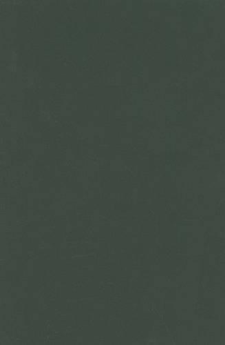 Паперова книга «Rethinking Ethnicity», автор Річард Дженкінс - фото №1