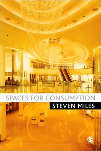 Паперова книга «Spaces for Consumption», автор Стівен Майлз - фото №1