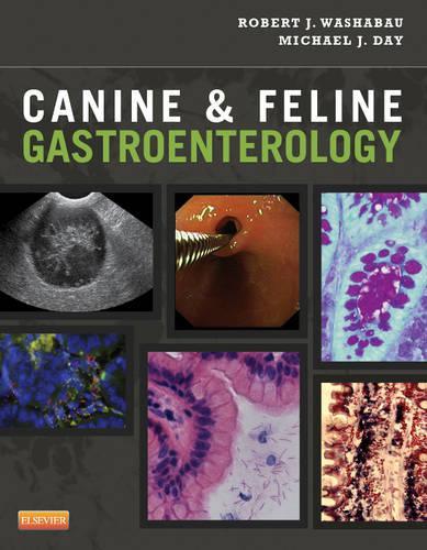 Паперова книга «Canine and Feline Gastroenterology», авторів Майкл Дж. Дей, Роберт Дж. Вашабау - фото №1