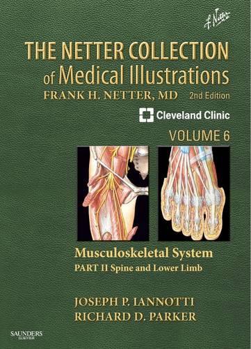 Бумажная книга «The Netter Collection of Medical Illustrations: Musculoskeletal System, Volume 6, Part II - Spine and Lower Limb», авторов Джозеф П. Ианнотти, Ричард Паркер - фото №1