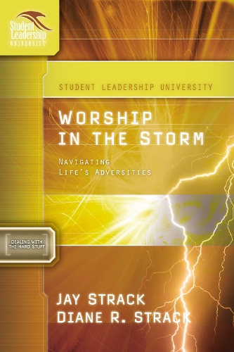 [object Object] «Worship in the Storm: Navigating Life's Adversities», авторов Дэвид Эдвардс, Диана Страк, Джей Страк - фото №1