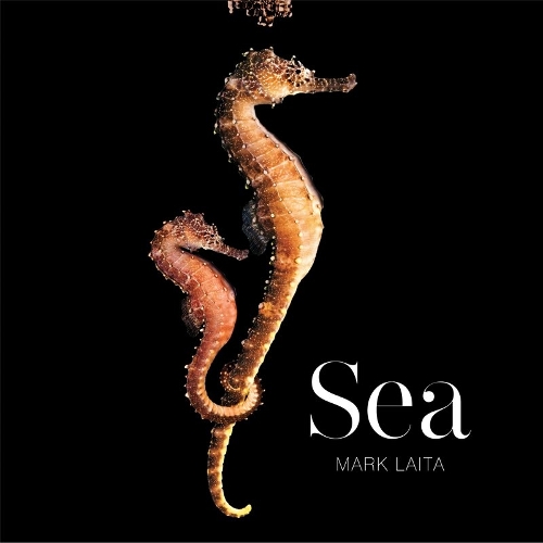 Бумажная книга «Sea» - фото №1