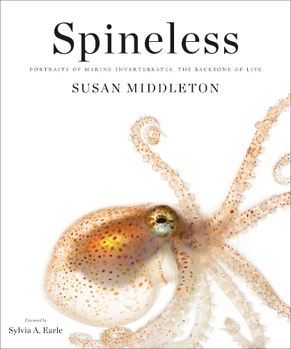 Паперова книга «Spineless: Portraits of Marine Invertebrates, the Backbone of Life», автор Сюзан Міддлтон - фото №1