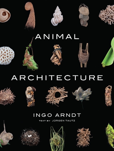 Бумажная книга «Animal Architecture», автор Инго Арндт - фото №1