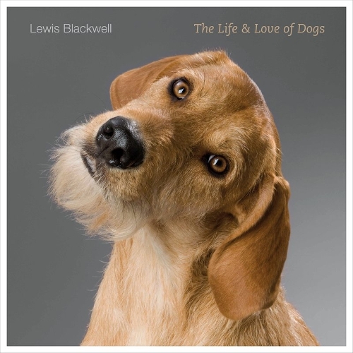 Бумажная книга «The Life and Love of Dogs», автор Льюис Блэквелл - фото №1