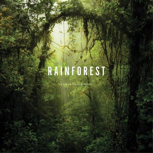 Бумажная книга «Rainforest» - фото №1