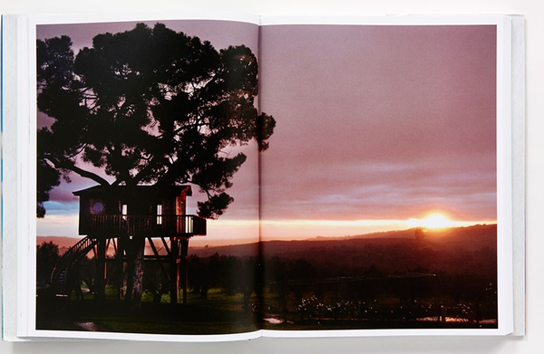 Бумажная книга «Dream Treehouses. Extraordinary Designs from Concept to Completion», авторов Элейн Лоуренс, Даниэль Дюфур, Гислен Андре, La Cabane Perchée - фото №1