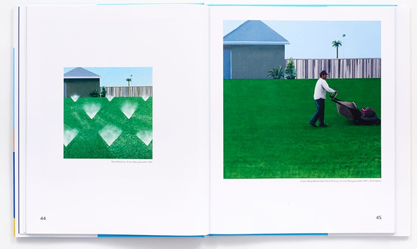 Бумажная книга «Domestic Scenes. The Art of Ramiro Gomez», автор Лоуренс Вешлер - фото №1