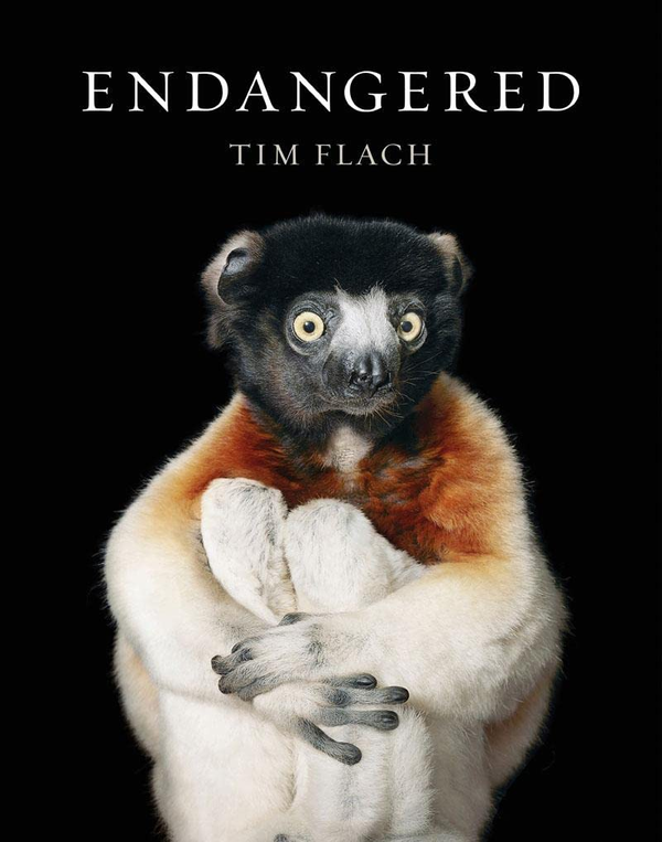 Бумажная книга «Endangered», автор Тим Флэк - фото №1