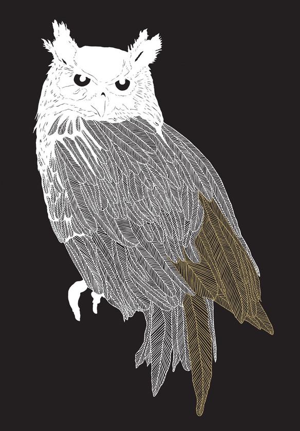 Бумажная книга «Brave Birds Notebook» - фото №1