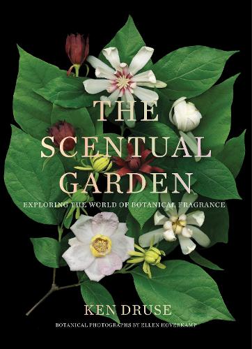 Бумажная книга «The Scentual Garden: Exploring the World of Botanical Fragrance», автор Кен Друзе - фото №1