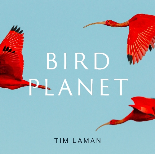 Бумажная книга «Bird Planet: A Photographic Journey», автор Тим Ламан - фото №1