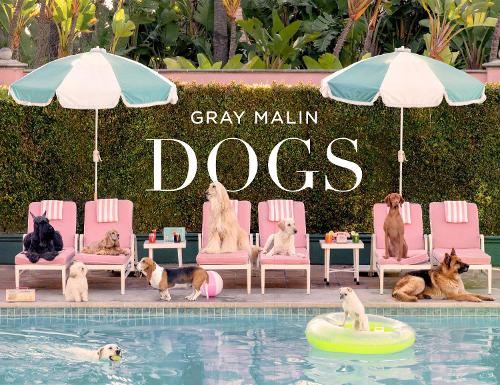 Паперова книга «Gray Malin: Dogs: Photographs», автор Грей Малін - фото №1