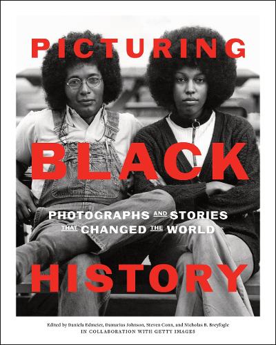 Бумажная книга «Picturing Black History: Photographs and Stories that Changed the World», авторов Дамариус Джонсон, Даниэла Эдмайер, Николас Б. Брейфогл, Стивен Конн - фото №1