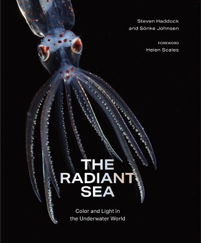 Бумажная книга «The Radiant Sea: Color and Light In the Underwater World», автор Сонке Йонсен - фото №1