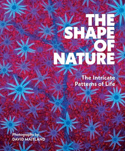 Бумажная книга «The Shape of Nature: The Intricate Patterns of Life», автор Дэвид Мейтленд - фото №1