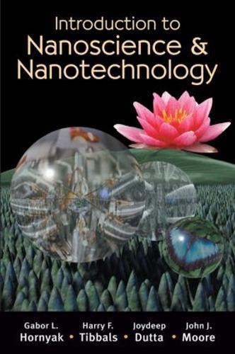 Бумажная книга «Introduction to Nanoscience and Nanotechnology», авторов Габор Л. Хорняк, Х.Ф. Тиббалс, Джон Дж. Мур, Джойдип Дутта - фото №1